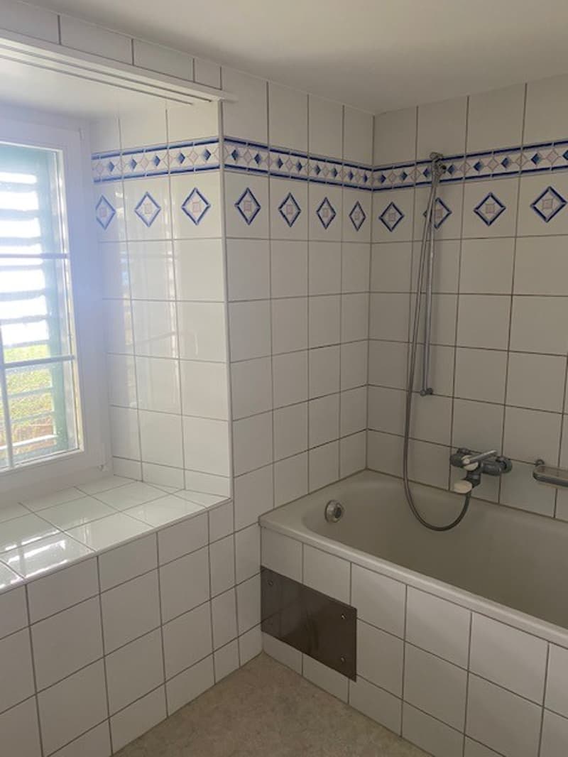 2 Zi Wohnung Altbau mit offener Wohnküche Küche (3)