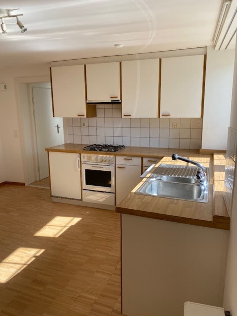 2 Zi Wohnung Altbau mit offener Wohnküche Küche (4)