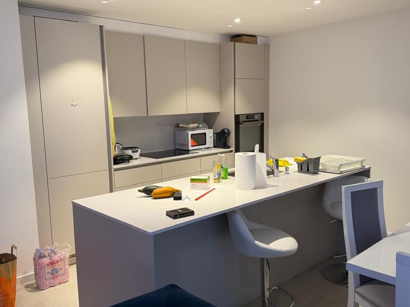 Appartement moderne privé à Lucens (3)
