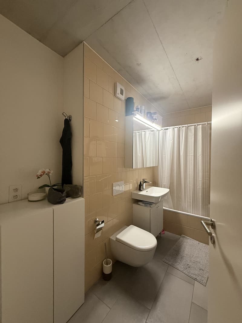 WG-Zimmer (14qm) in neubau Wohnung mit Terrasse (5)