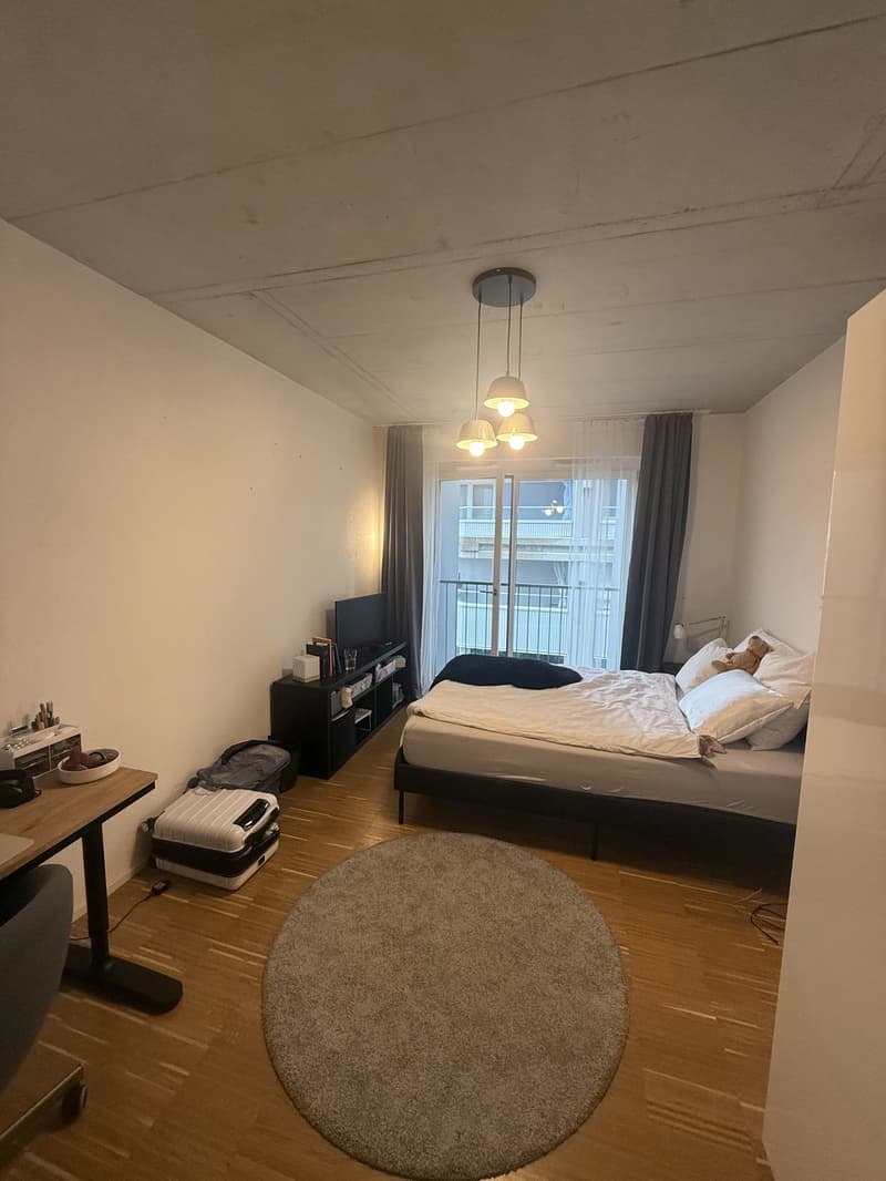 WG-Zimmer (14qm) in neubau Wohnung mit Terrasse (4)