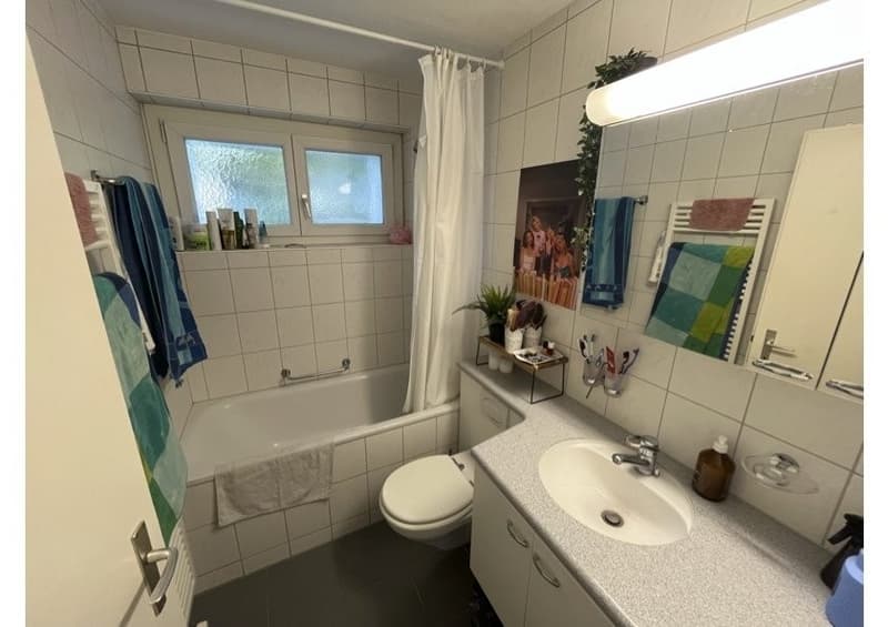 4-Zimmer-Wohnung ab 1. Oktober zu vermieten (6)
