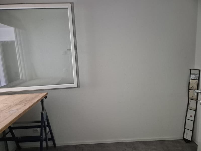 grand 3.5 pièces (110m2 + pièce bonus) - très grande terrasse et vue sur le Moléson (7)