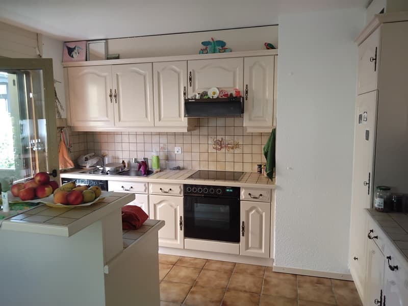 Appartement 4.5 pieces, 110m2 avec belle vue (4)