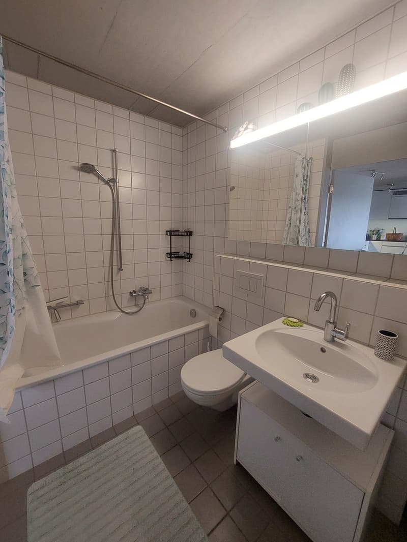Zentrale 2.5 Zimmer-Wohnung zur Untermiete (6)