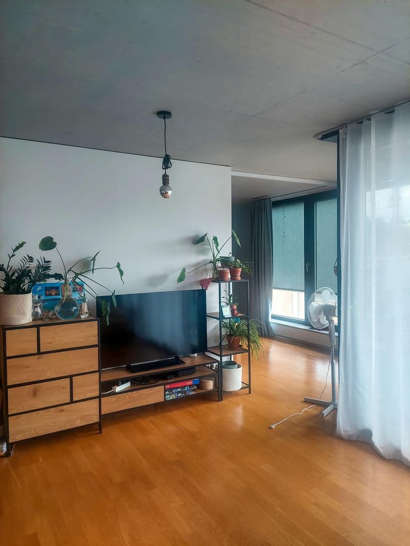Zentrale 2.5 Zimmer-Wohnung zur Untermiete (3)