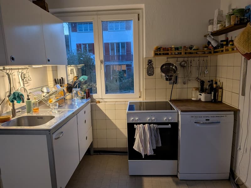 WG Zimmer, 8049 Zürich (5)