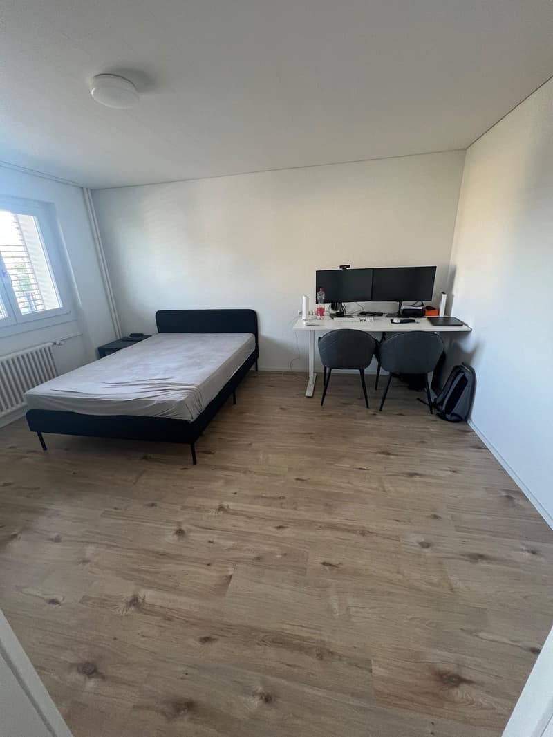 1 ½ Zimmer-Wohnung, 6242 Wauwil (4)