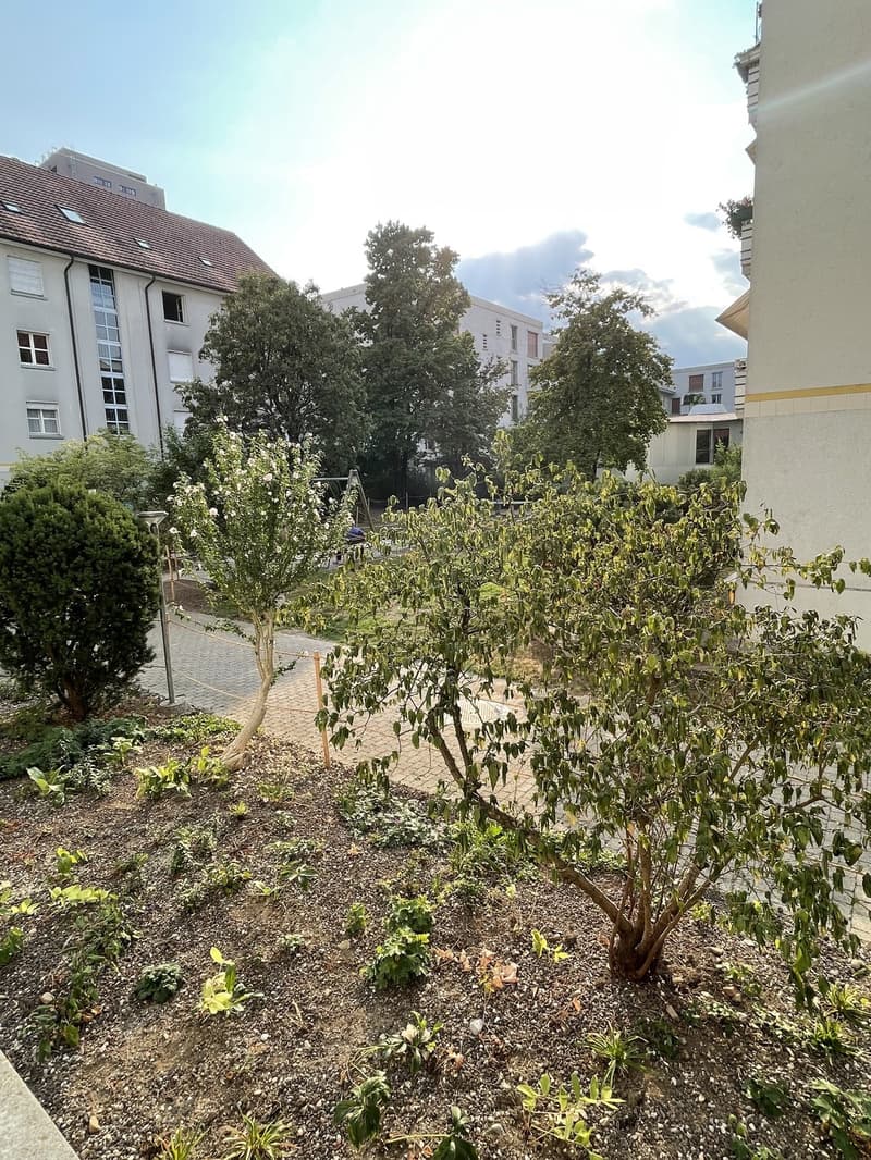 Zimmer in 2-er WG mit Terasse & Garten (8)