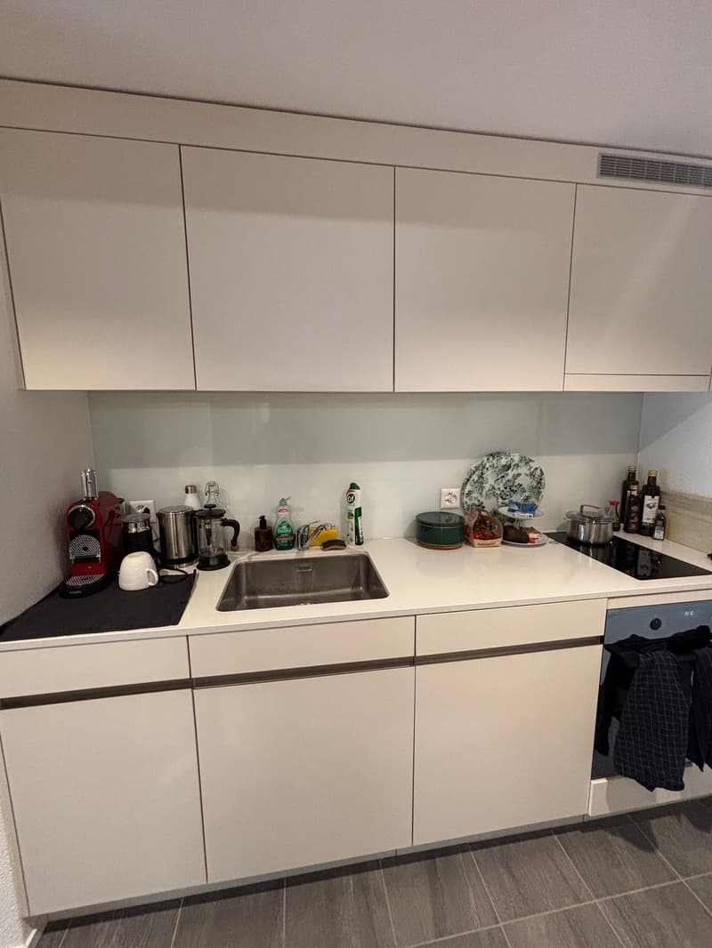 Helle & moderne 2.5-Zimmer-Wohnung in Seebach-Oerlikon 54 m² | Top-ÖV-Anbindung (6)