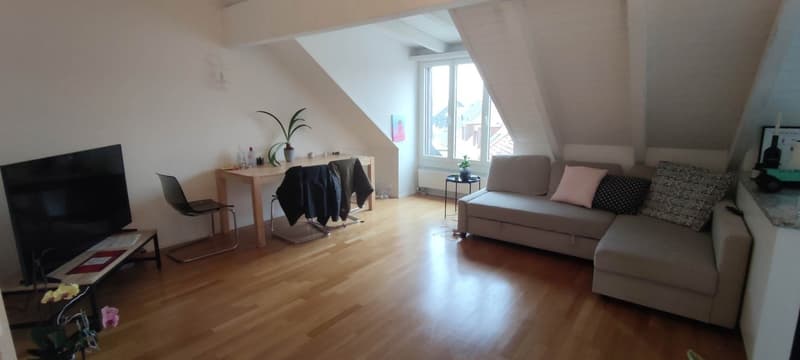 Furnished Room for Rent in Zurich 8006 (1)