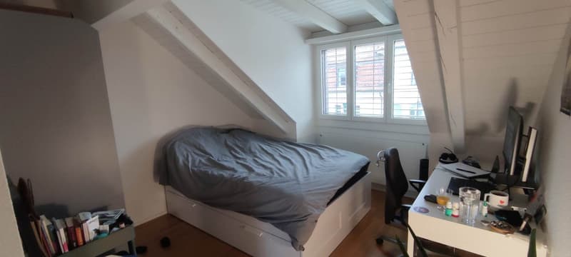 Furnished Room for Rent in Zurich 8006 (3)