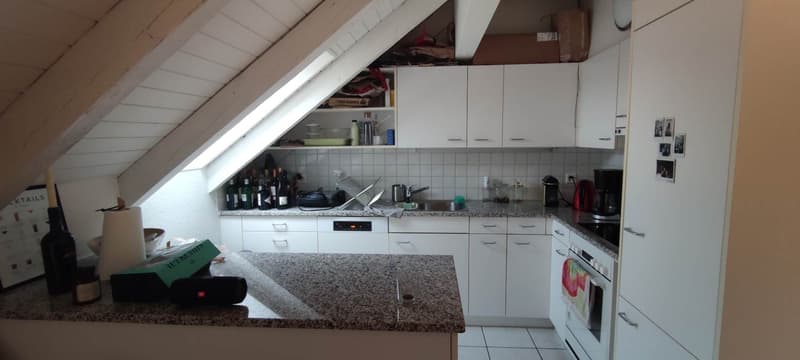 Furnished Room for Rent in Zurich 8006 (2)