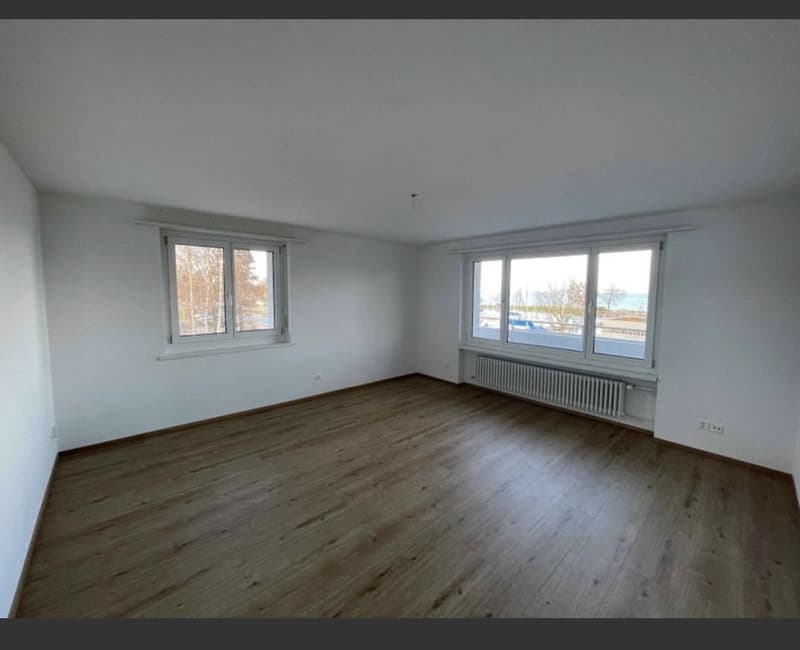 3.5 Zimmerwohnung am Bodensee (1)