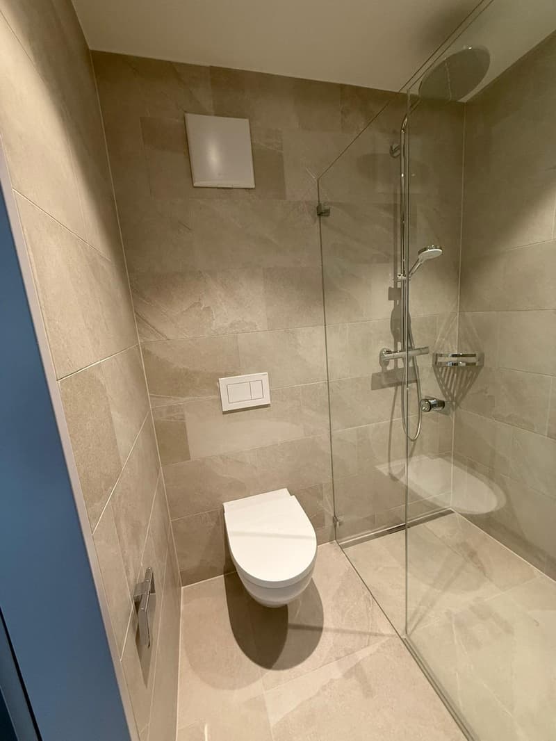 Modern 2.5-Room Apartment in Vibrant Altstetten  New Building, Fully Equipped (5)