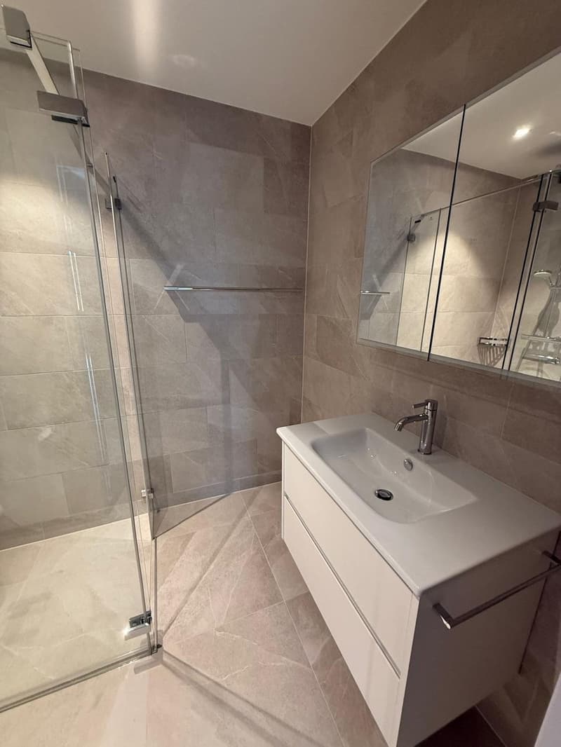 Modern 2.5-Room Apartment in Vibrant Altstetten  New Building, Fully Equipped (6)