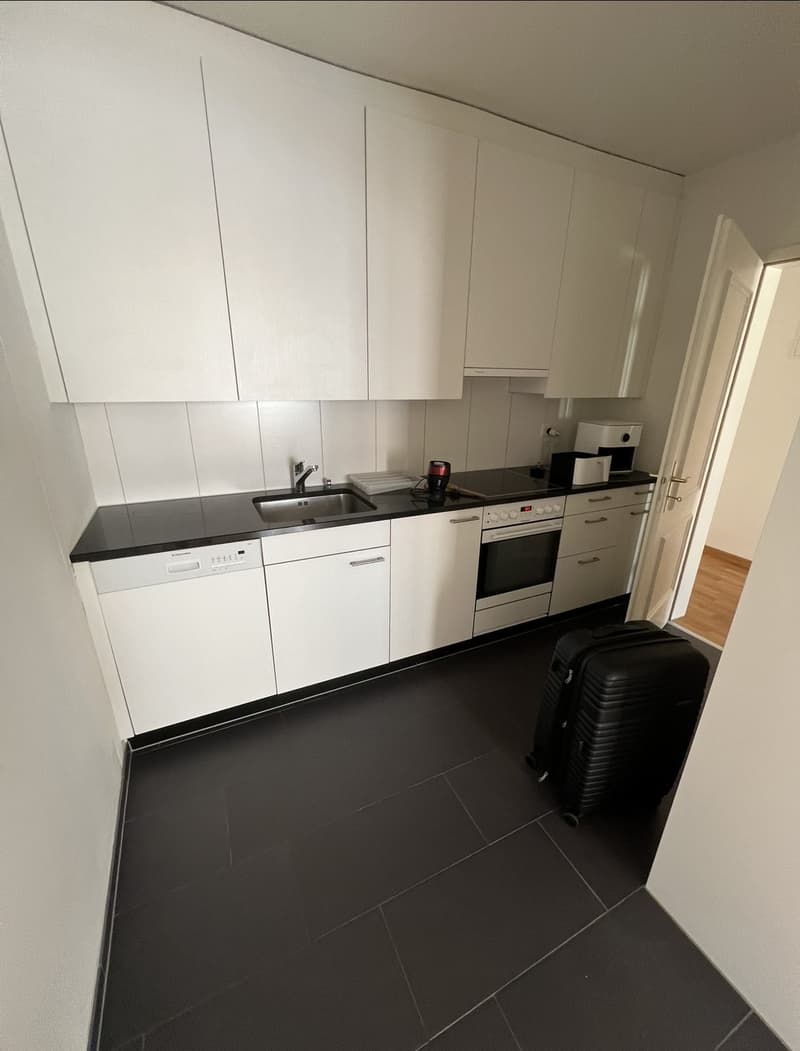 Bright 2.5-Room Apartment in Zürich's Popular Seefeld District (4)