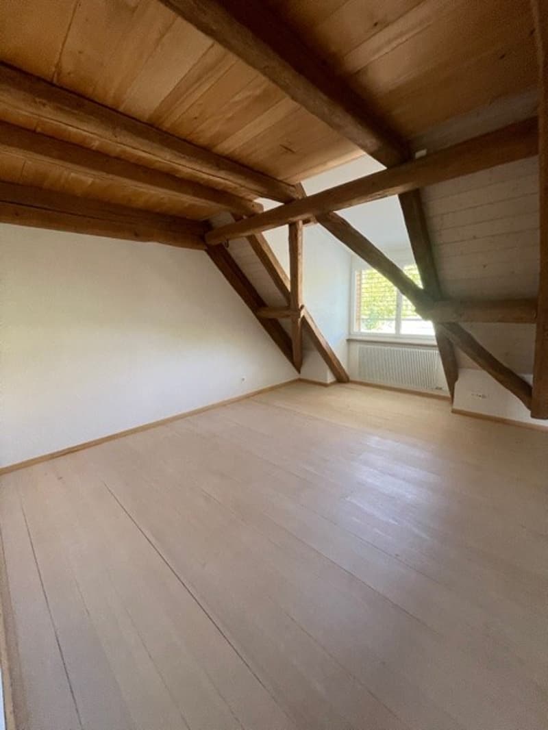3 ½ Zimmer-Wohnung, 5425 Schneisingen (10)