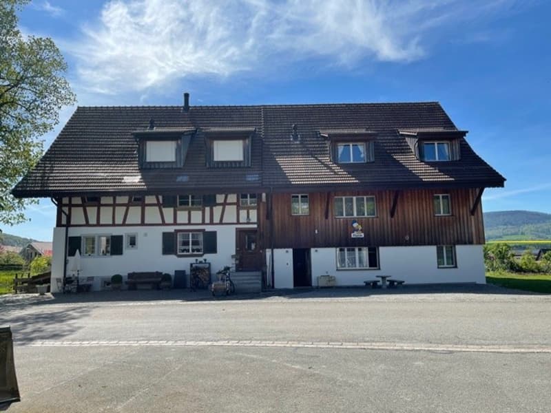 3 ½ Zimmer-Wohnung, 5425 Schneisingen (9)