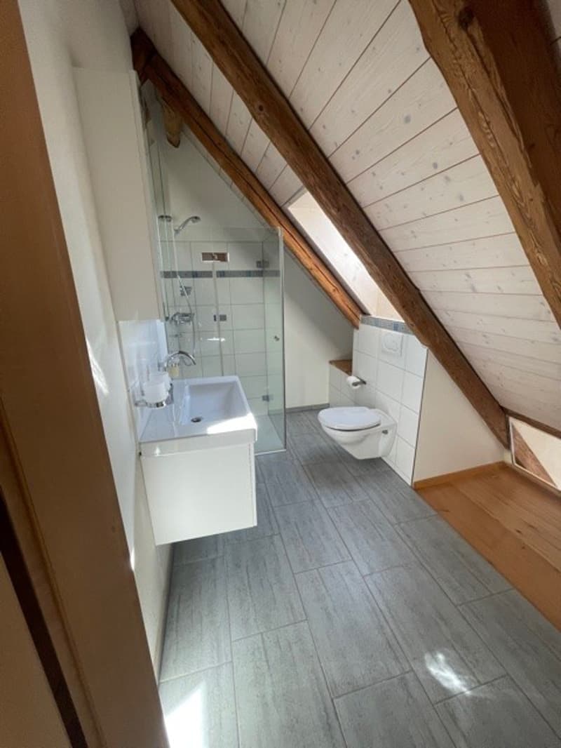 3 ½ Zimmer-Wohnung, 5425 Schneisingen (12)
