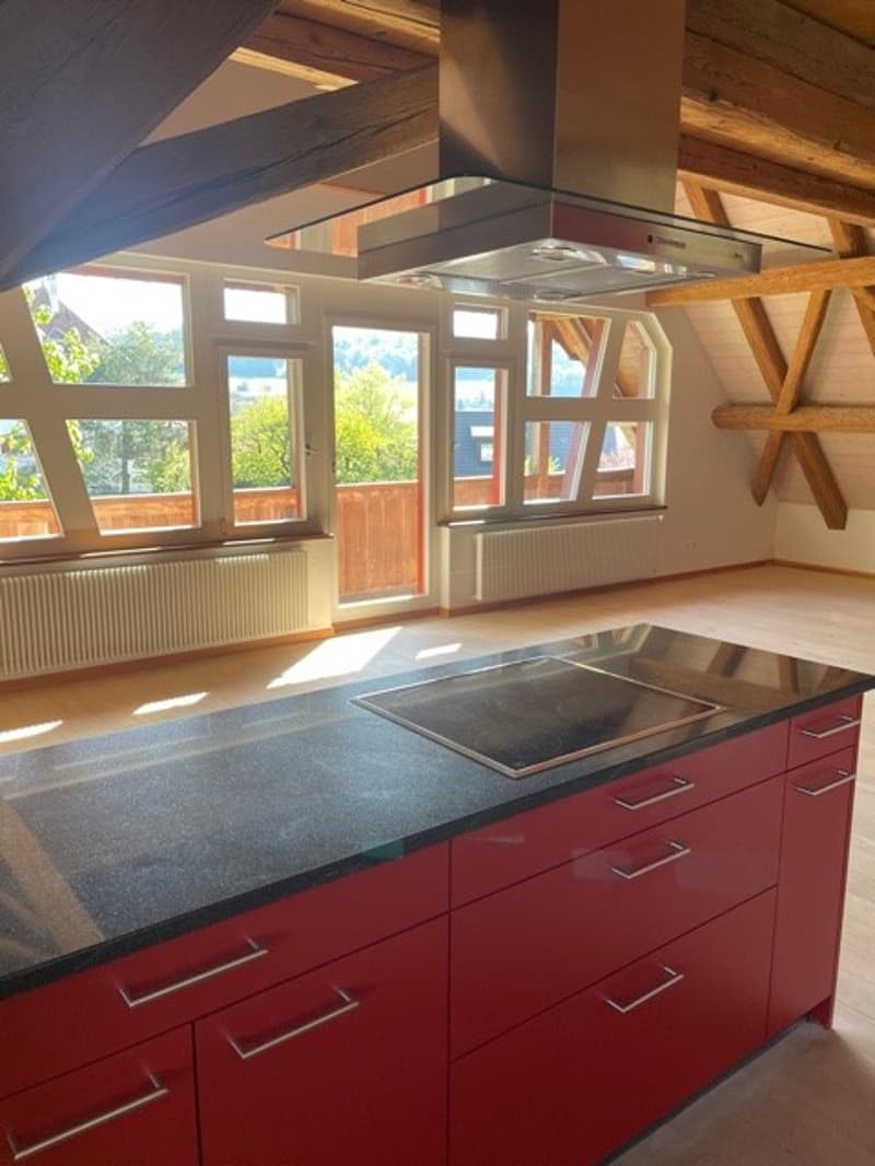 3 ½ Zimmer-Wohnung, 5425 Schneisingen (4)