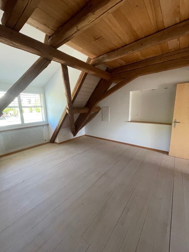 3 ½ Zimmer-Wohnung, 5425 Schneisingen (11)