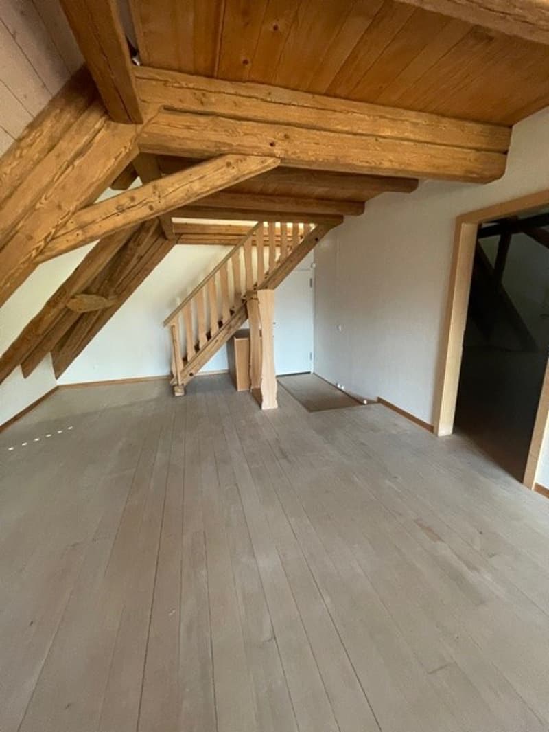 3 ½ Zimmer-Wohnung, 5425 Schneisingen (3)