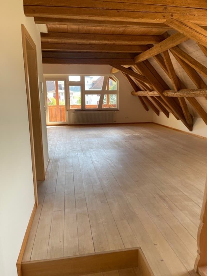 3 ½ Zimmer-Wohnung, 5425 Schneisingen (5)
