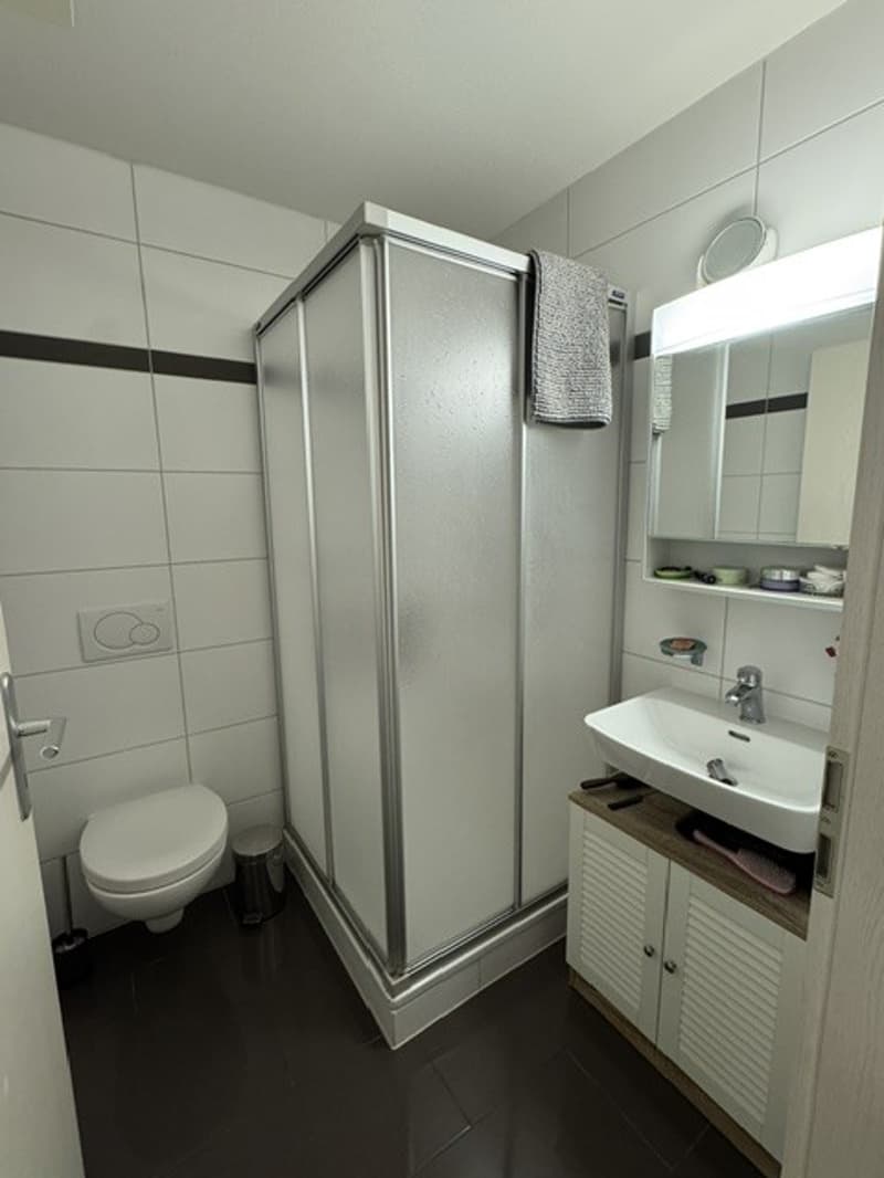 Magnifique 4½ pièces denviron 99 m² avec grand balcon Estavayer (5)