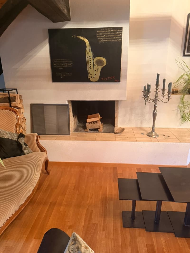 3 ½ Zimmer-Wohnung, 8200 Schaffhausen (10)