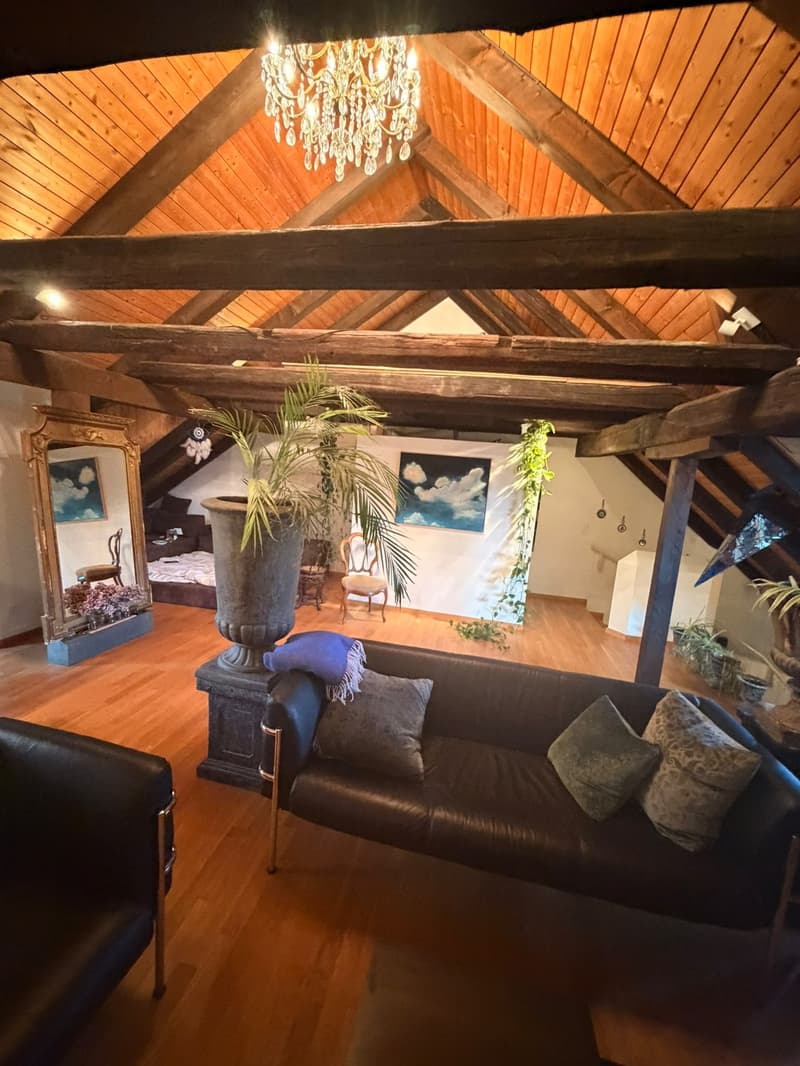 3 ½ Zimmer-Wohnung, 8200 Schaffhausen (3)