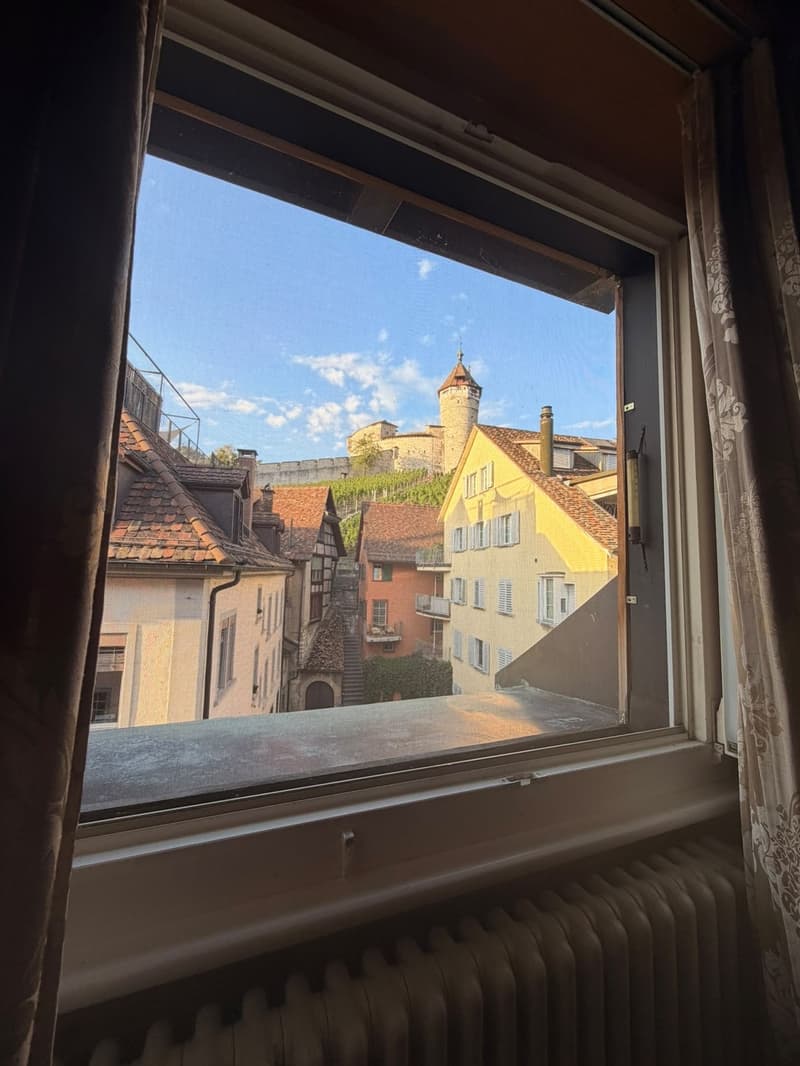 3 ½ Zimmer-Wohnung, 8200 Schaffhausen (4)