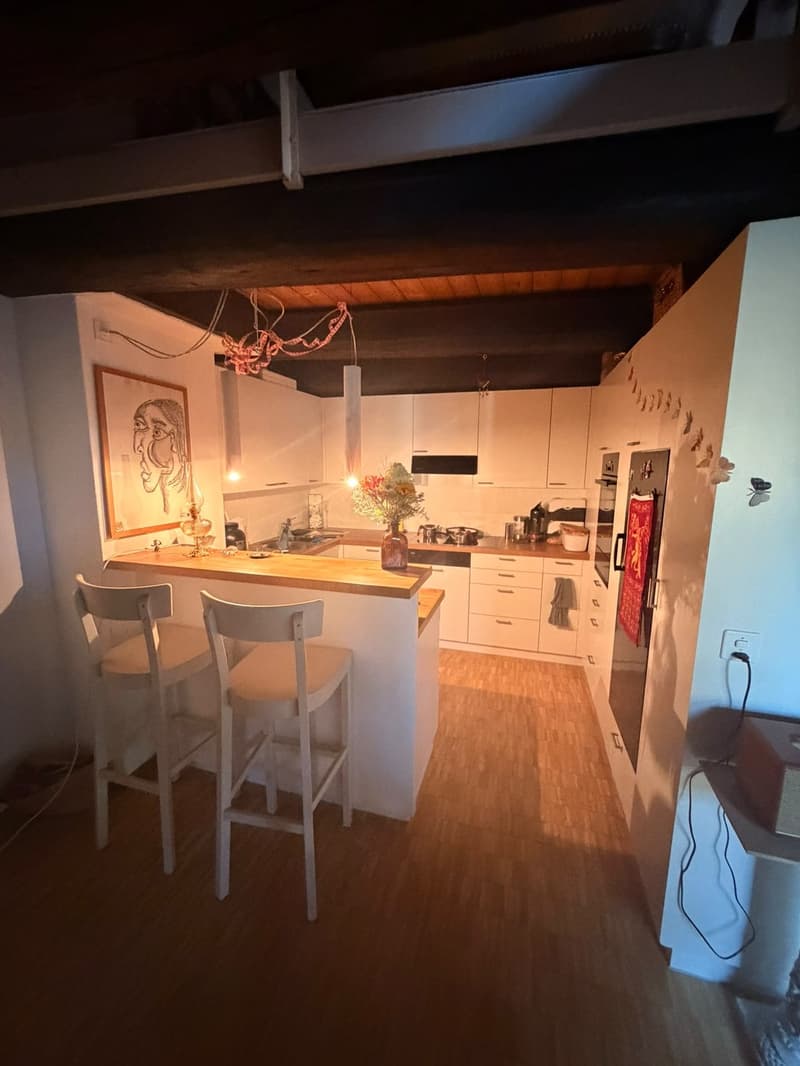 3 ½ Zimmer-Wohnung, 8200 Schaffhausen (2)