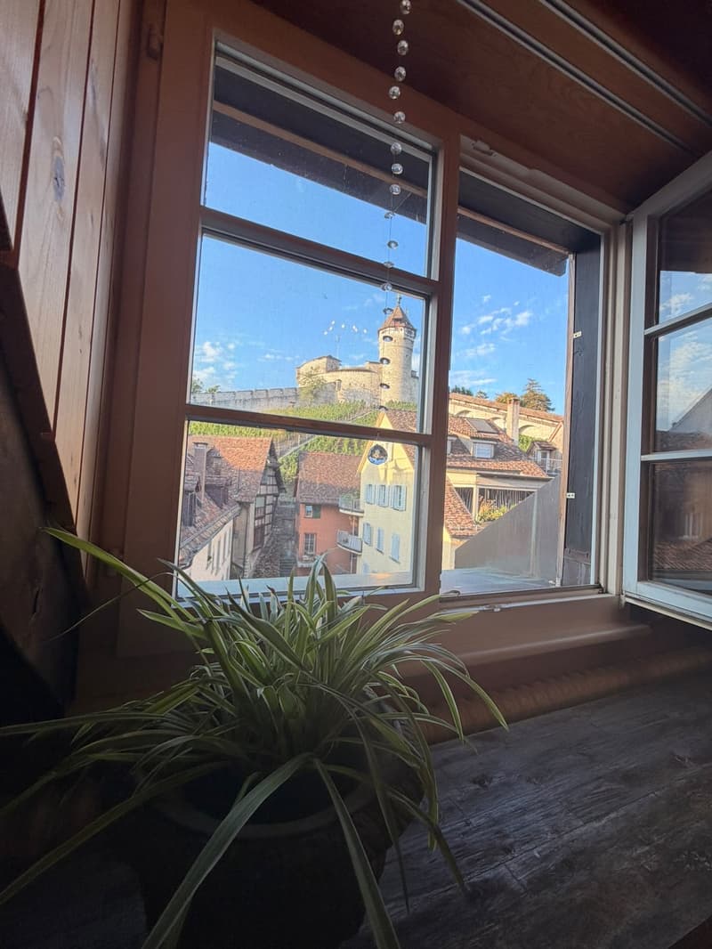 3 ½ Zimmer-Wohnung, 8200 Schaffhausen (8)