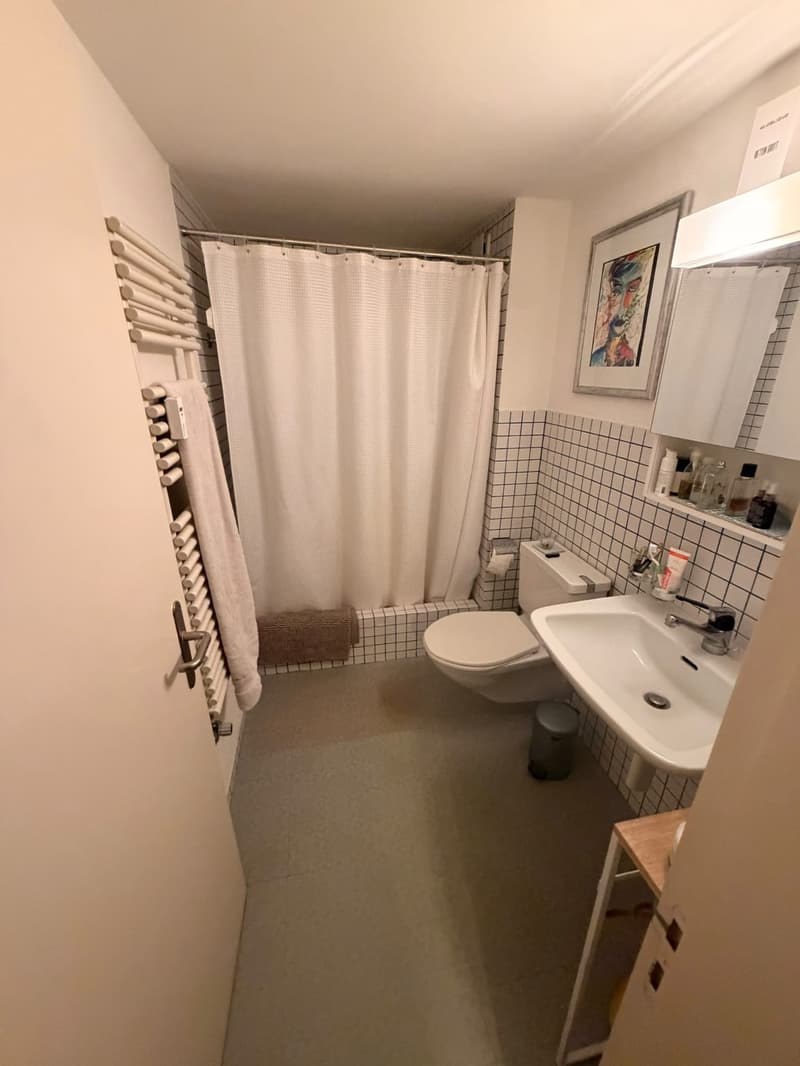 3 ½ Zimmer-Wohnung, 8200 Schaffhausen (6)
