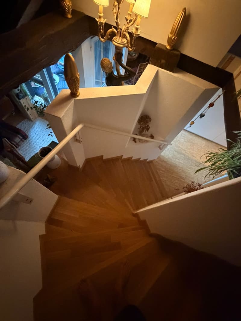 3 ½ Zimmer-Wohnung, 8200 Schaffhausen (5)