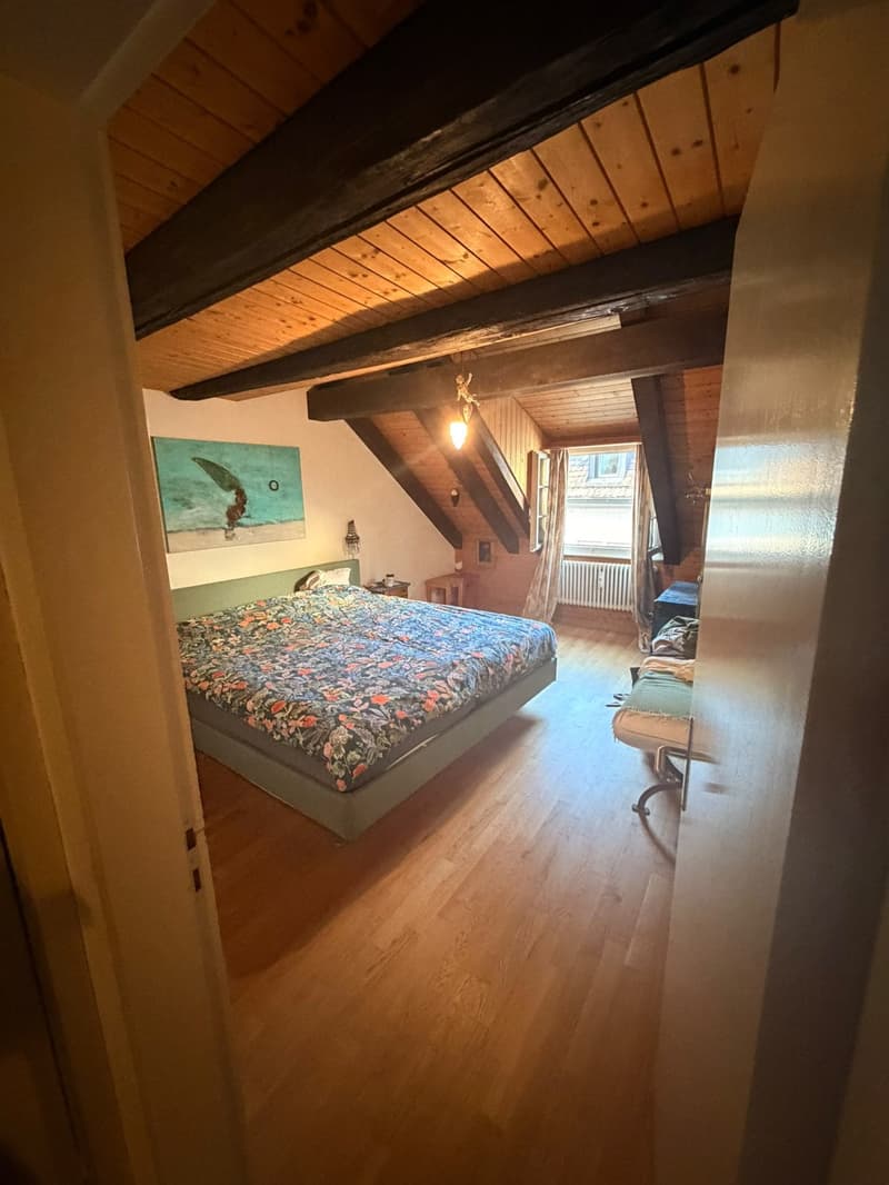 3 ½ Zimmer-Wohnung, 8200 Schaffhausen (9)