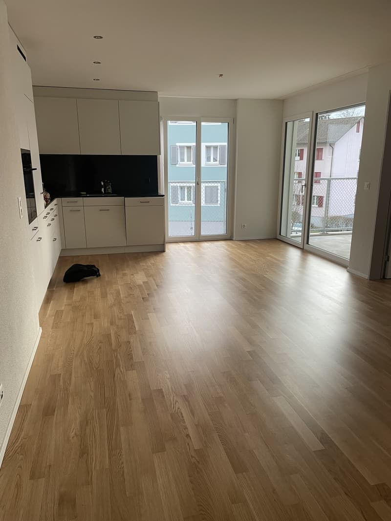 2 ½ apartment (1)