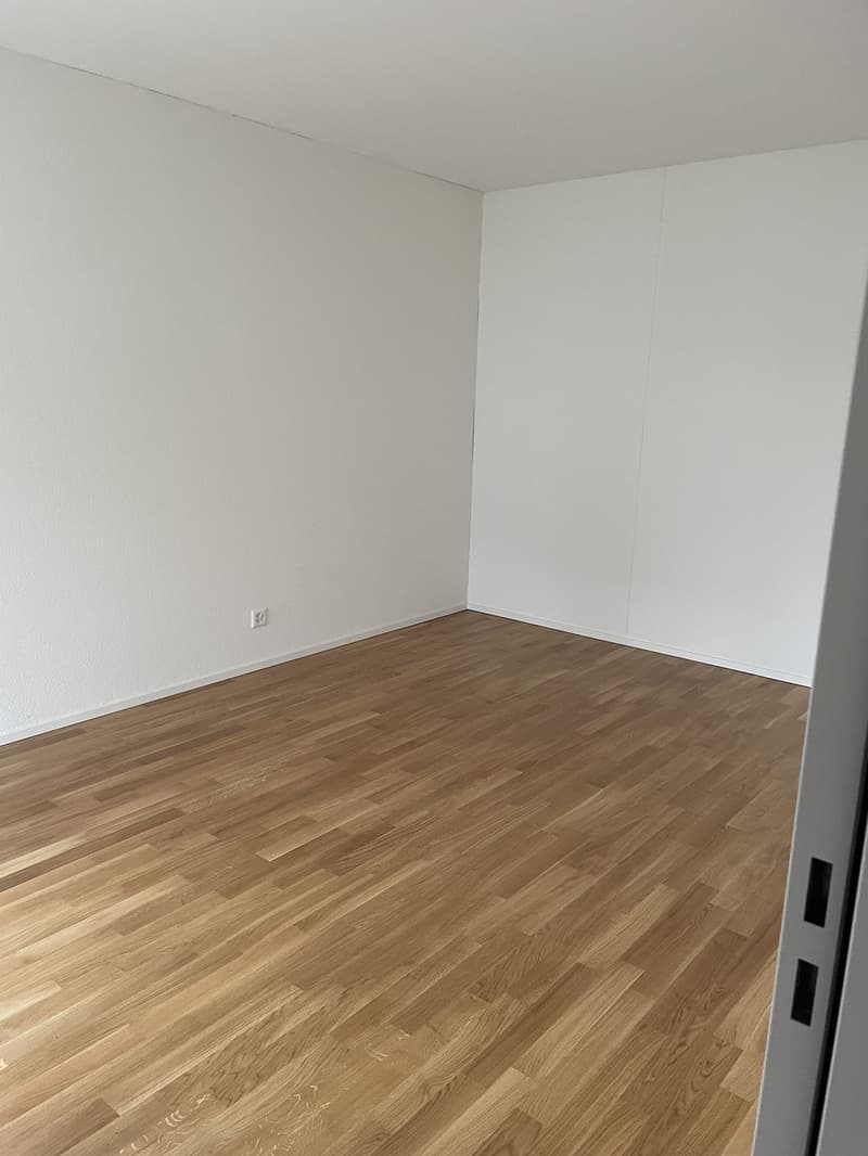 2 ½ apartment (8)