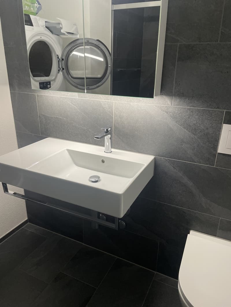 2 ½ apartment (4)