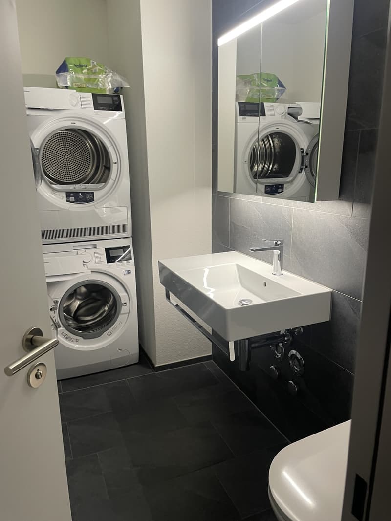 2 ½ apartment (5)