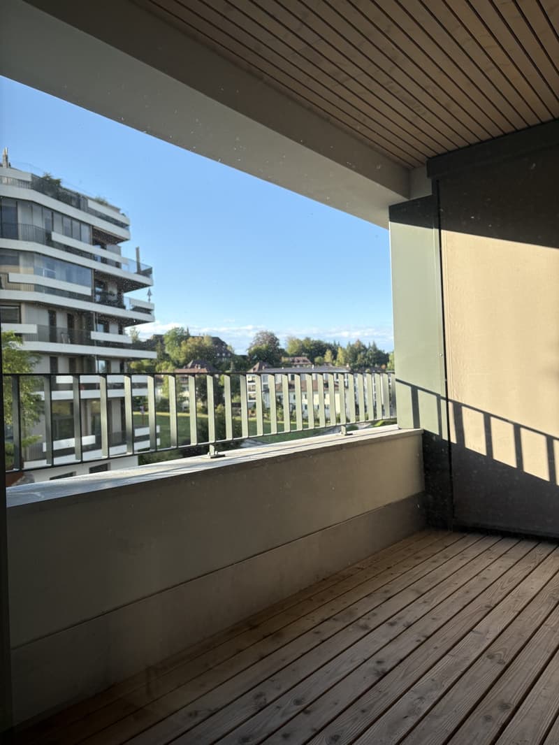 Wunderschöne 2.5 Zimmer Wohnung in zentraler Lage (6)