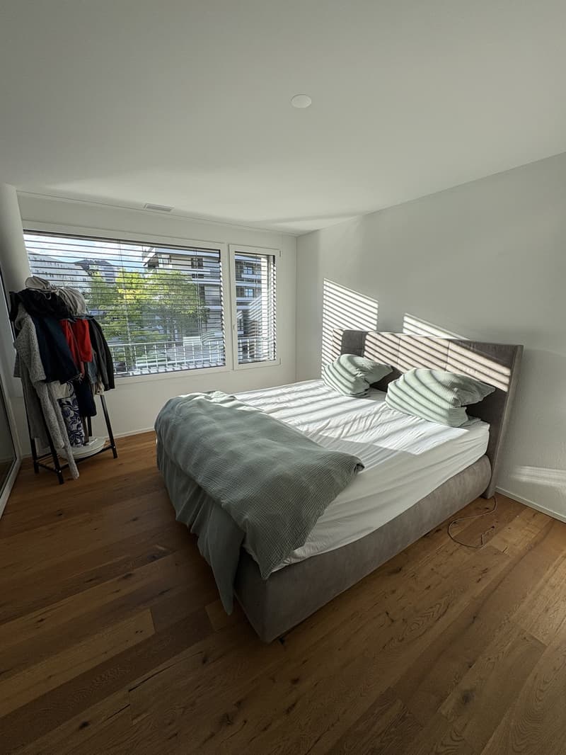 Wunderschöne 2.5 Zimmer Wohnung in zentraler Lage (10)
