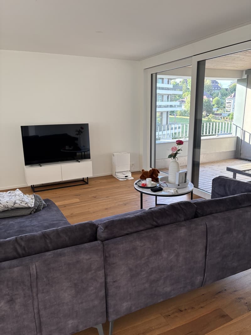 Wunderschöne 2.5 Zimmer Wohnung in zentraler Lage (4)