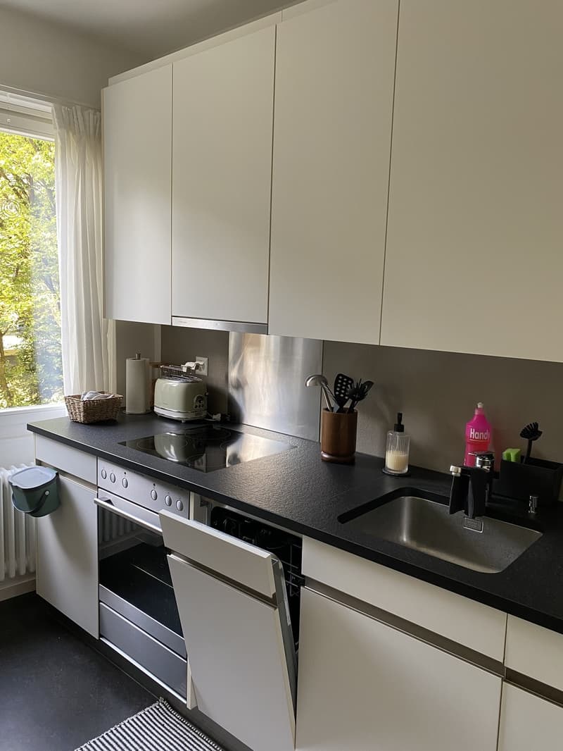 Schöne Wohnung an ruhiger Lage (6)