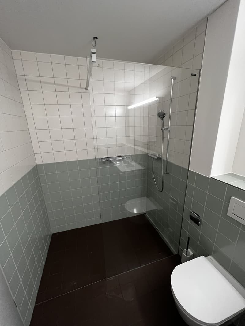 Wunderschöne Wohnung in Kirchberg ab 01.10.2026 zu vermieten (7)