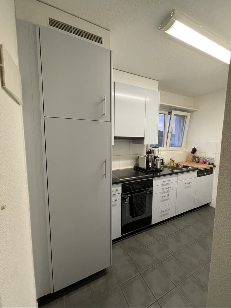 Parquet flooring, Tumbler, Washing machine, Cable, Dishwasher, Lift, Balcony/Garden (11)