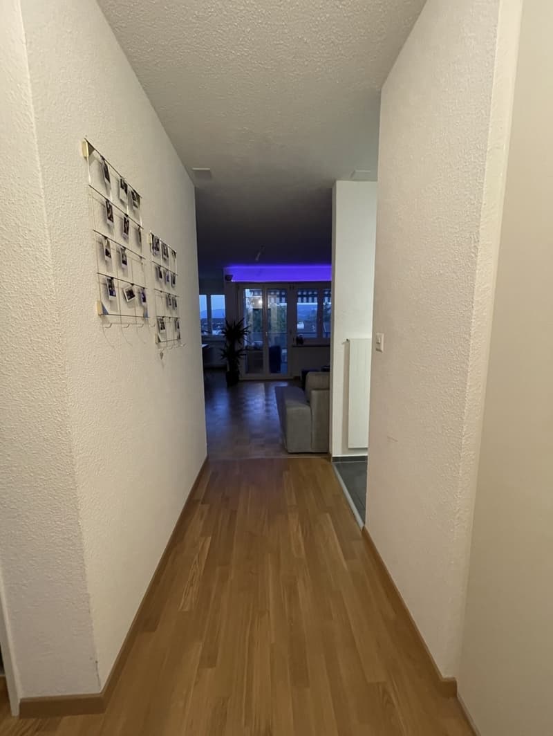 Parquet flooring, Tumbler, Washing machine, Cable, Dishwasher, Lift, Balcony/Garden (10)