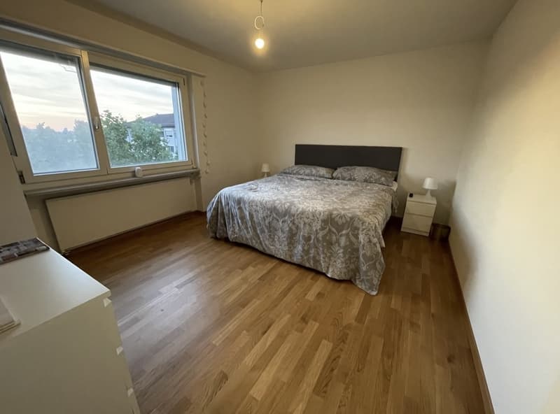 Parquet flooring, Tumbler, Washing machine, Cable, Dishwasher, Lift, Balcony/Garden (7)