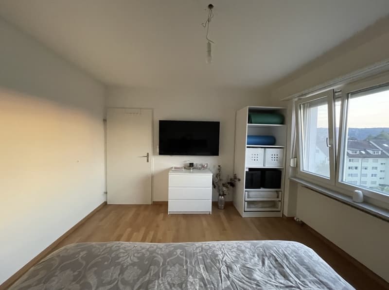 Parquet flooring, Tumbler, Washing machine, Cable, Dishwasher, Lift, Balcony/Garden (4)